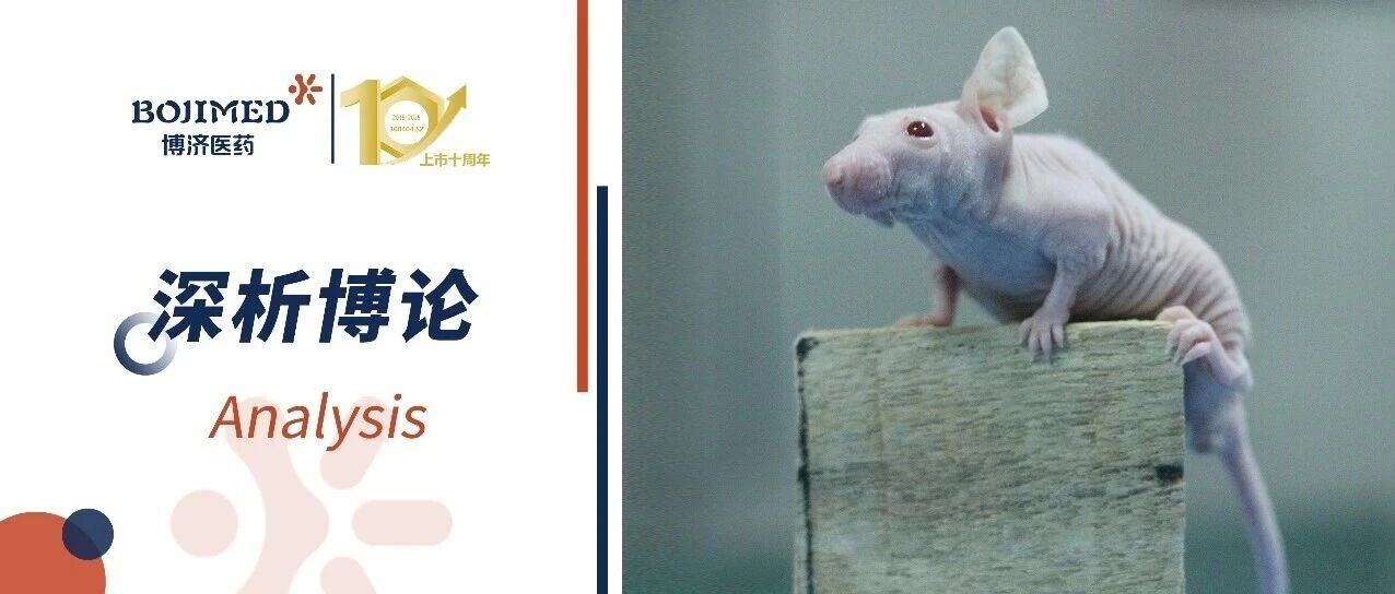 靴子落地！替代动物！FDA新规为肿瘤新药研发“松绑”